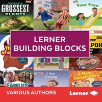 Lerner_Building_Blocks